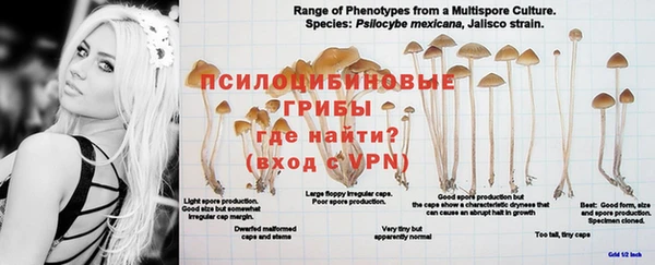 не бодяженный Володарск