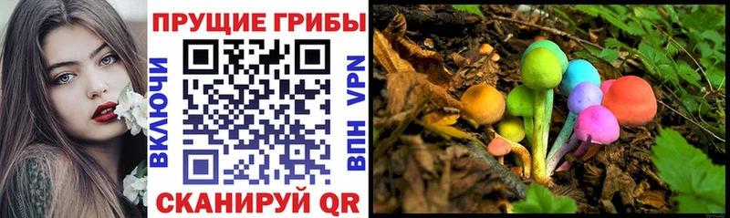 Псилоцибиновые грибы MAGIC MUSHROOMS  Вичуга 